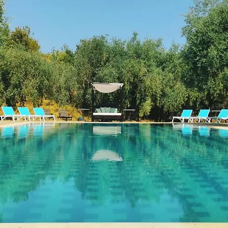 Ipsario Garden Skala Potamia (Thasos)