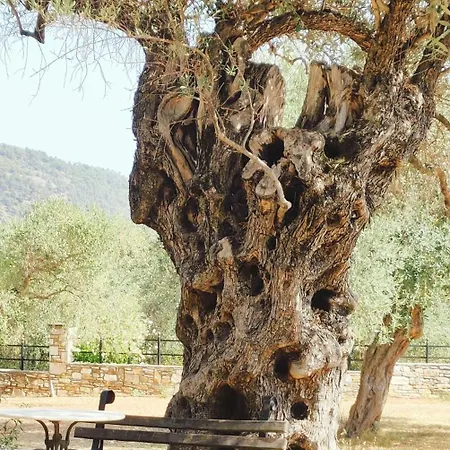 Appartamento Ipsario Garden