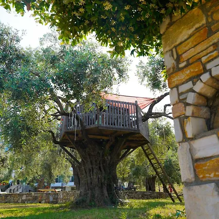 Appartamento Ipsario Garden Skala Potamia (Thasos)