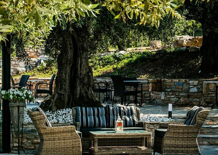 公寓 伊普萨里奥花园酒店公寓 *